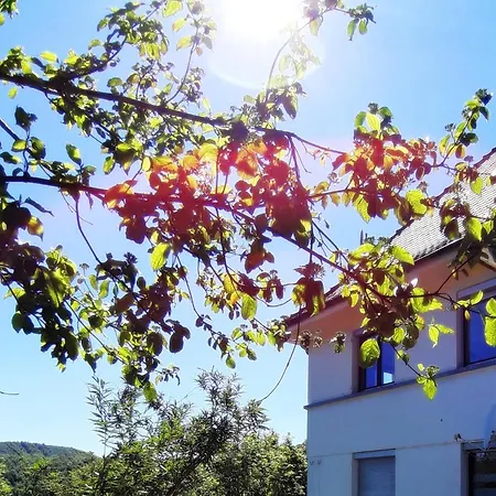 Ferienwohnung Albstadt Panorama Exterior photo