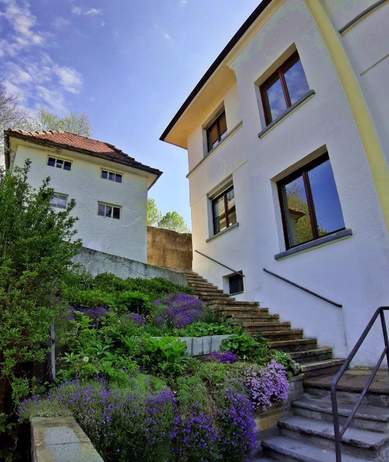 Panorama Apartment